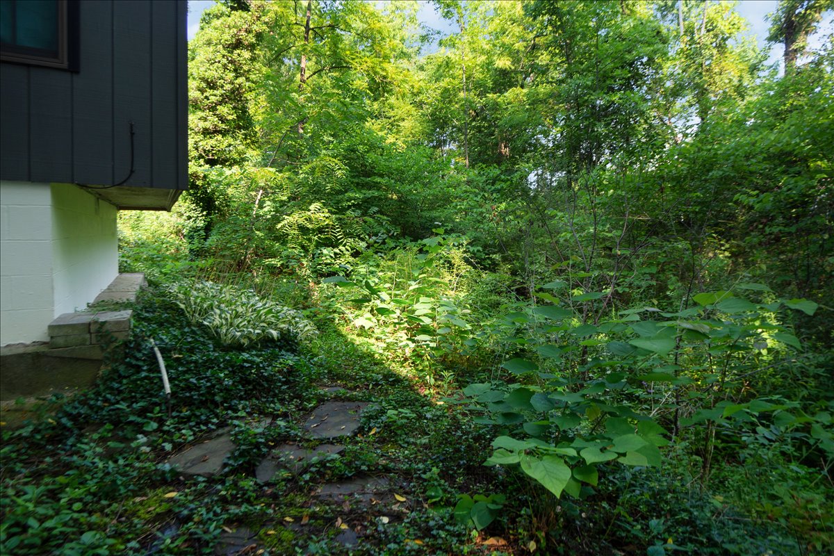 Property view 30
